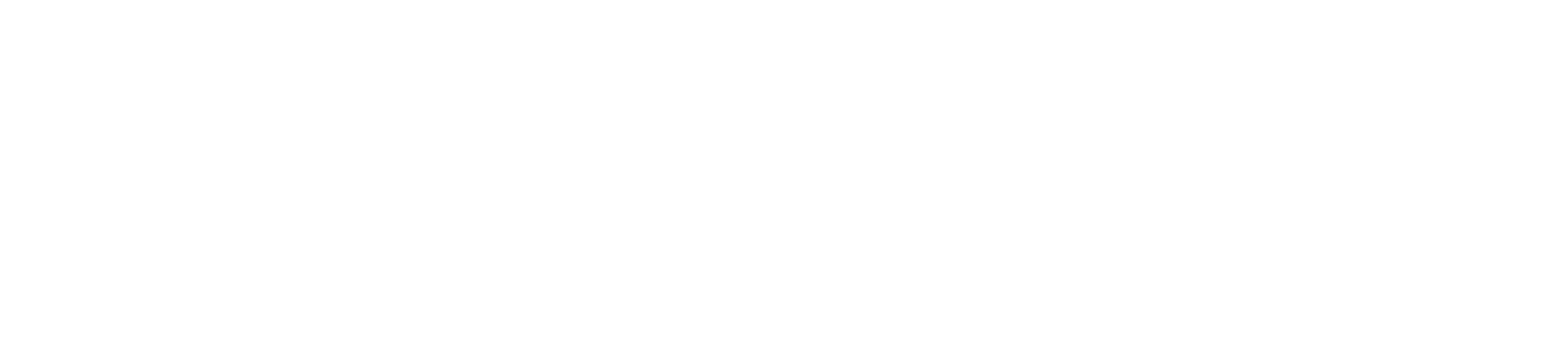 modelos2-01